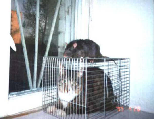 g-pas de chance-humourenvrac